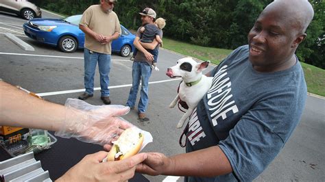 gaston county animal care and enforcement photos|gaston county free pets.